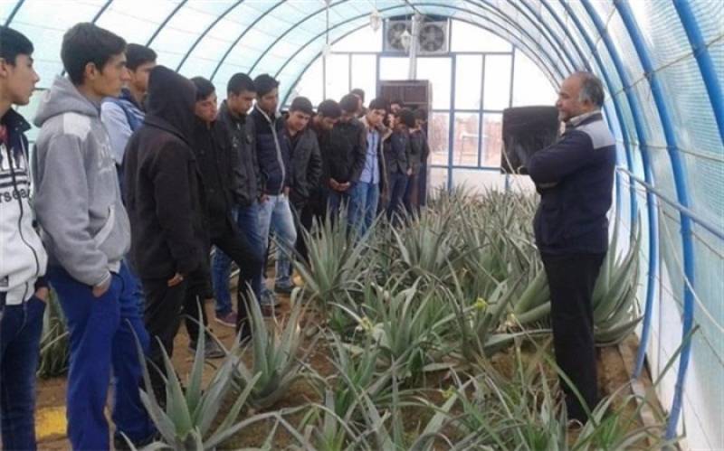 افق بازار کار بخش کشاورزی برای دانش‌آموزان علاقه‌مند باید روشن باشد